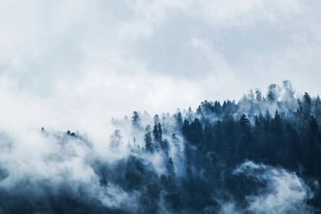 阳江樱雪热水 器今天天气